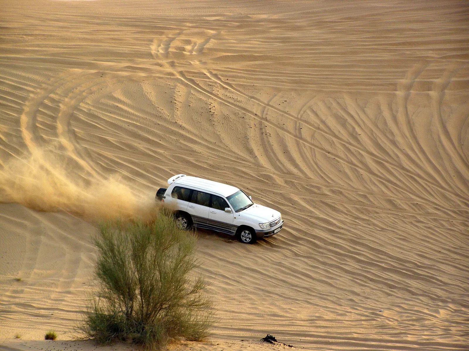 Golden sand dunes of the Dubai desert at sunset